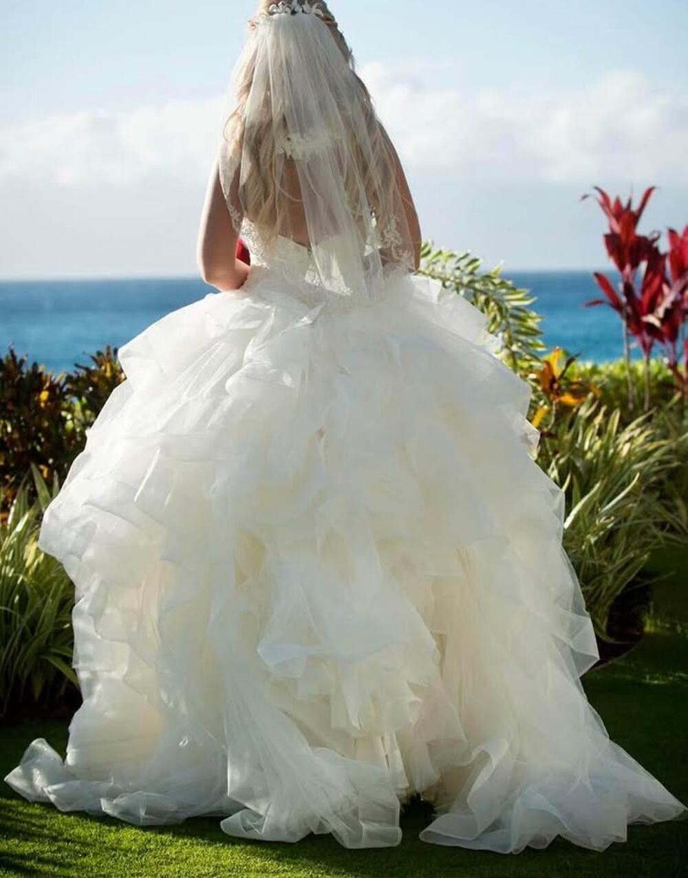 Wedding Dress Vera Wang